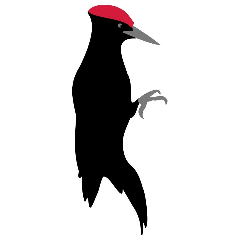 Schwarzspecht