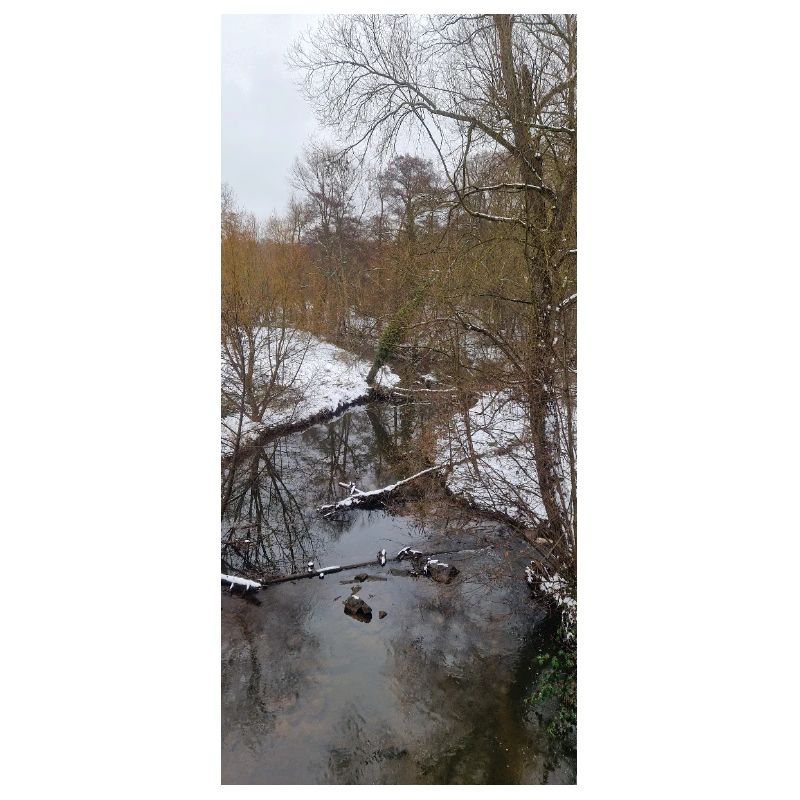Winterfluss im Nebel