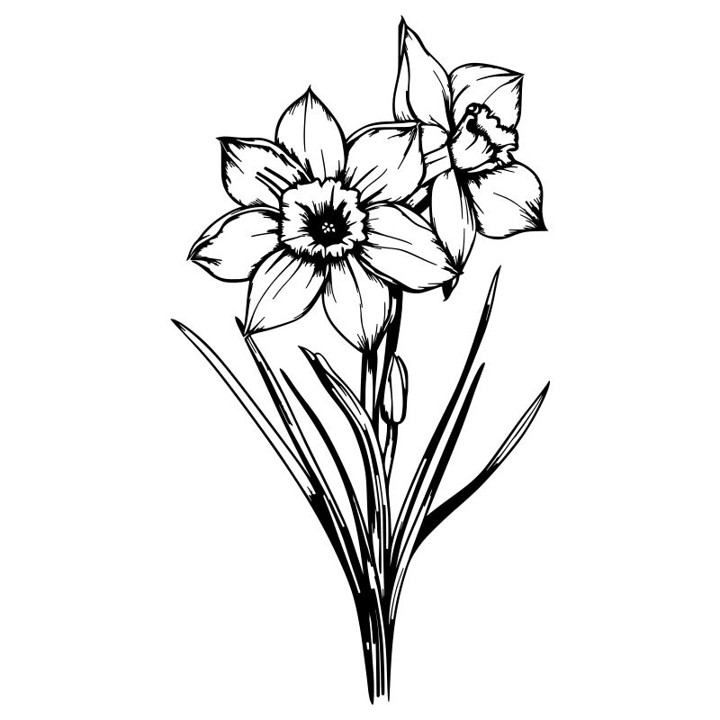 Frühlingsblume