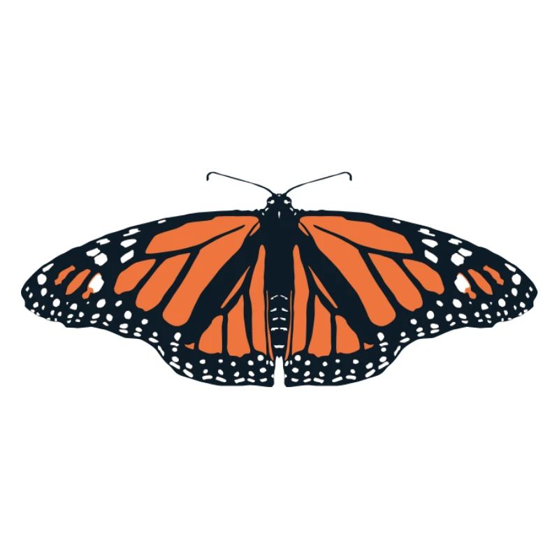 Papillons : Le papillon monarque