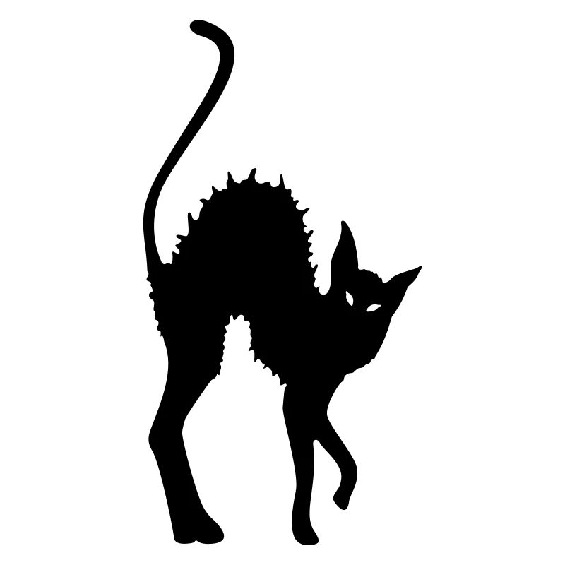 cat, Black Cat, goth, gothic, magic, wicca, witch