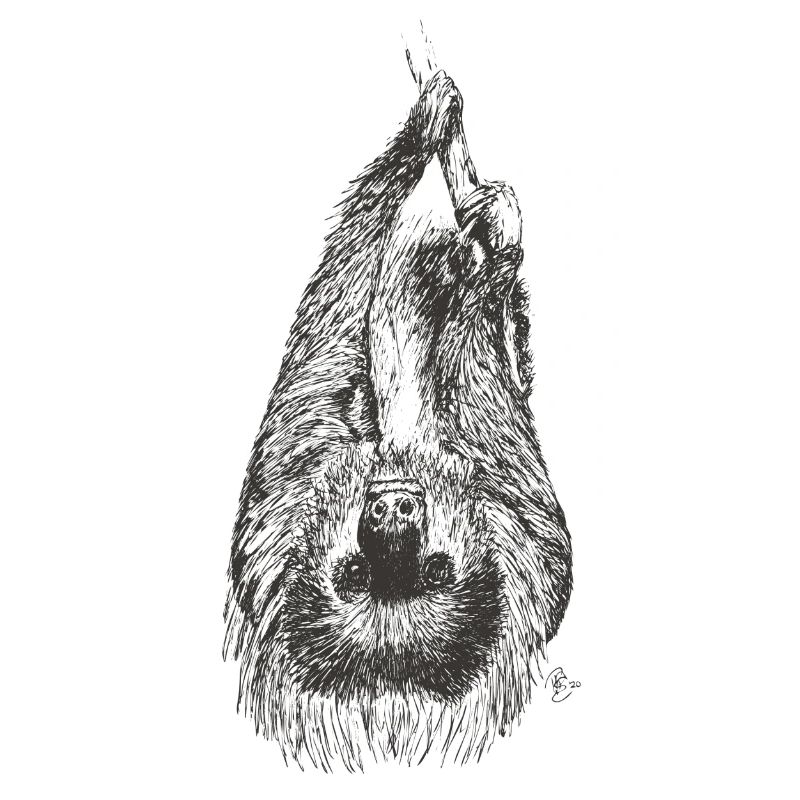 Sloth
