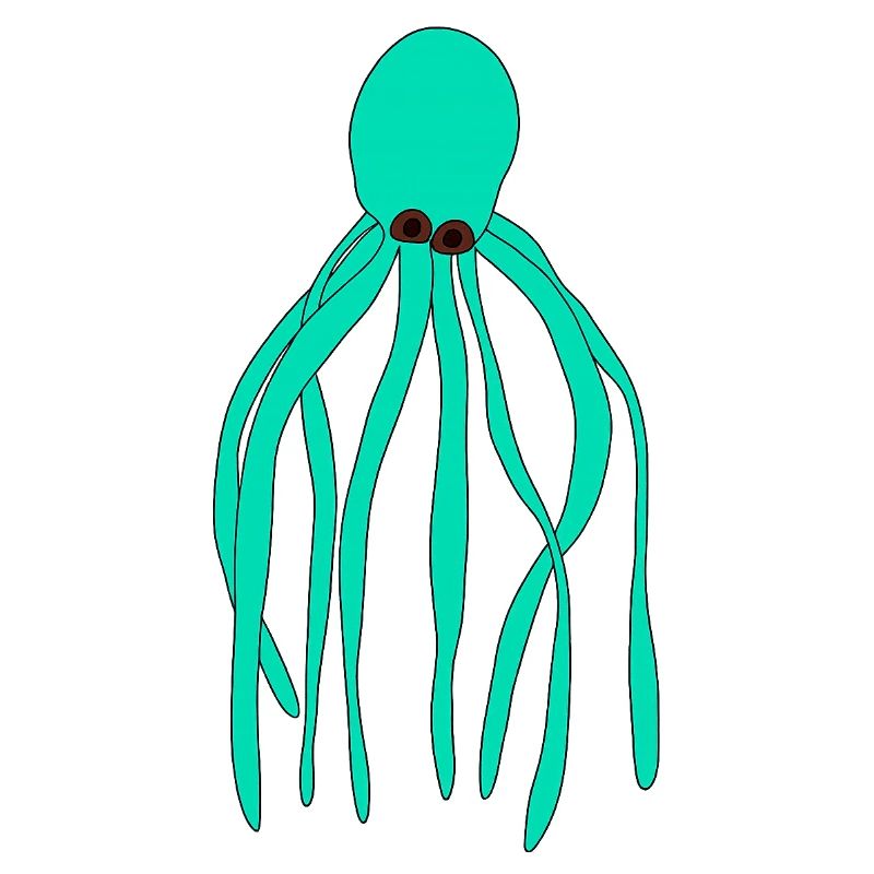 Oktopus türkis