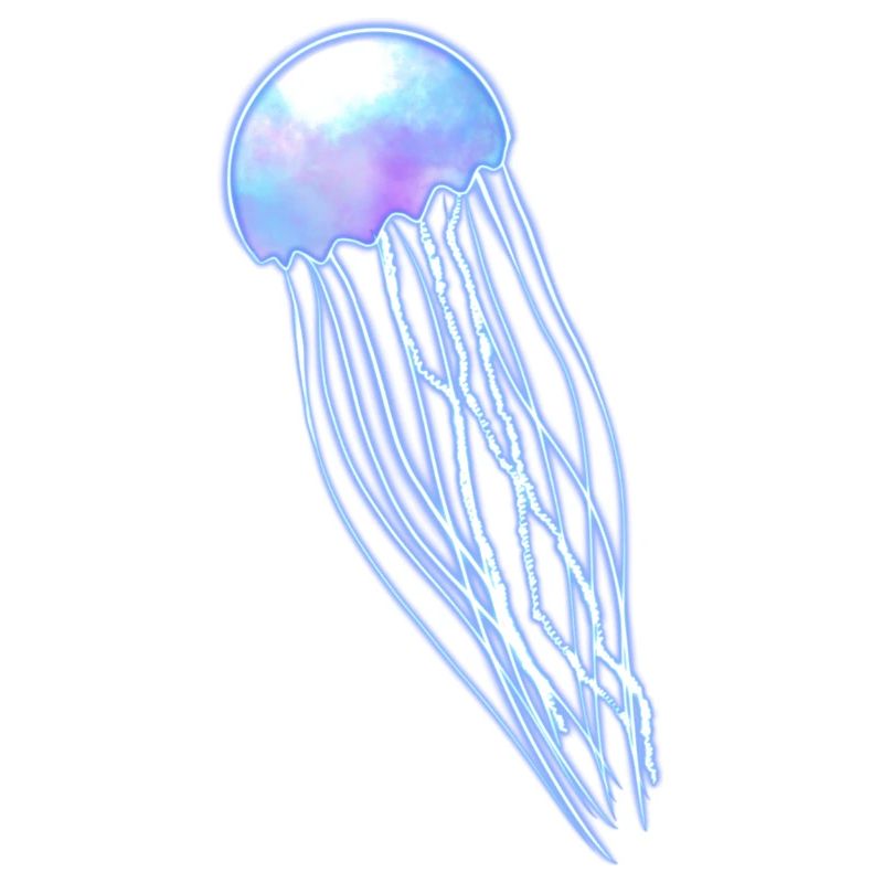 Blaue Qualle