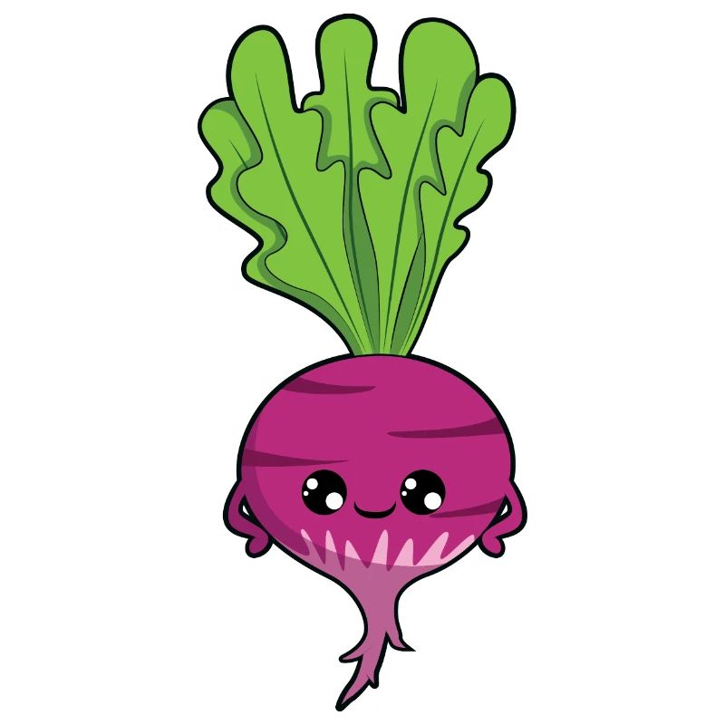 Steckrübe Rübe