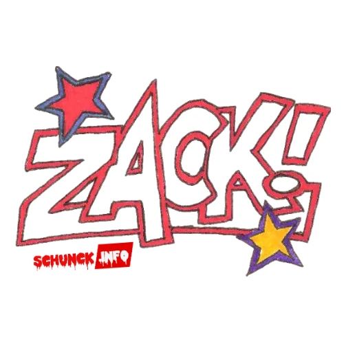 Schriftzug Zack - Männer Premium Bio Pullover