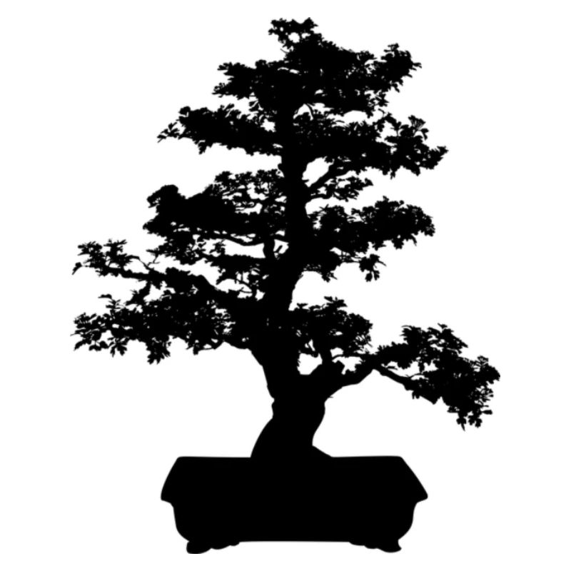 Bonsai