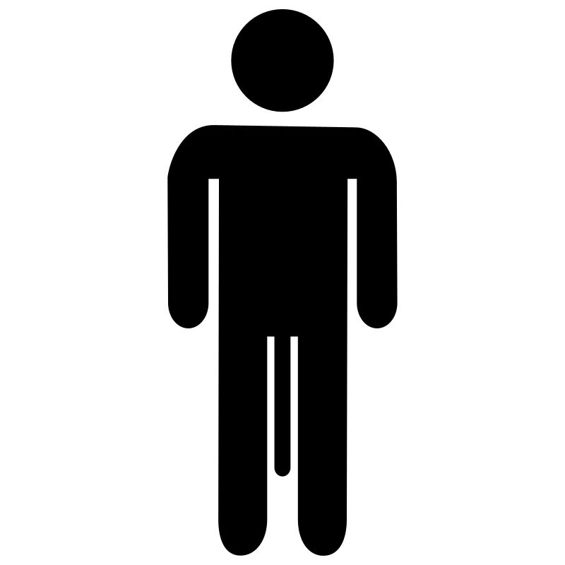 Penis