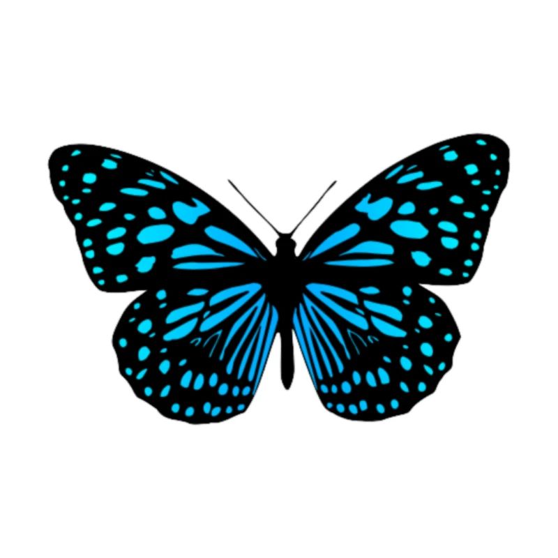 Schmetterling blau