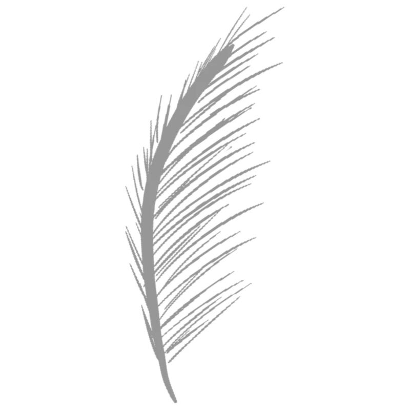 Einfache Feder