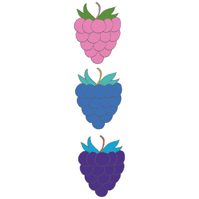 himbeeren dreifarbig