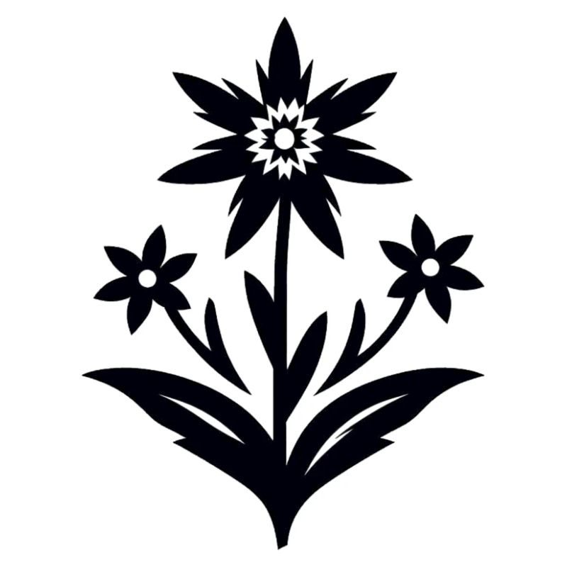 Edelweiß / Blume