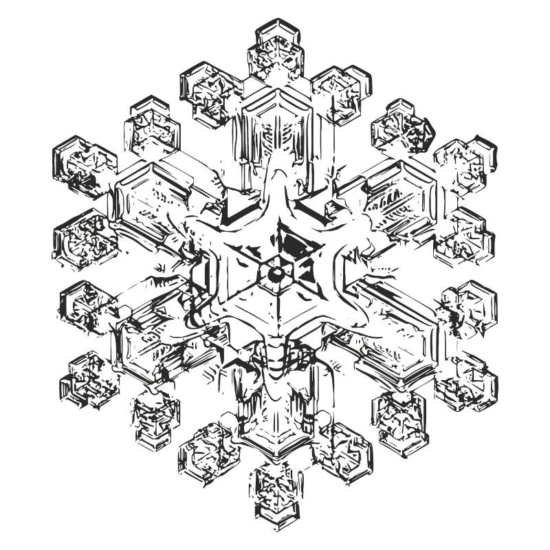 snowflake 9 black