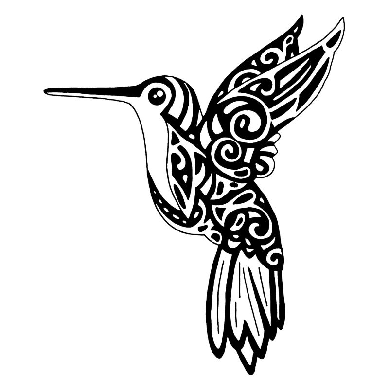 Schwarzer Kolibri-Vogel