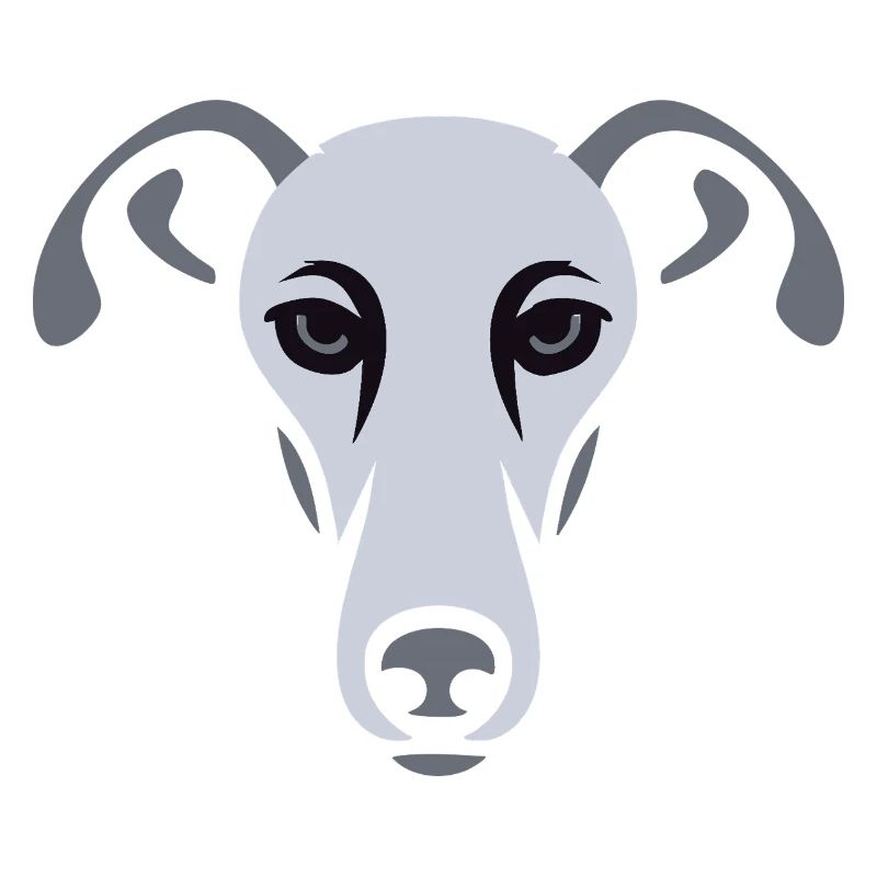Windhund, Galgo