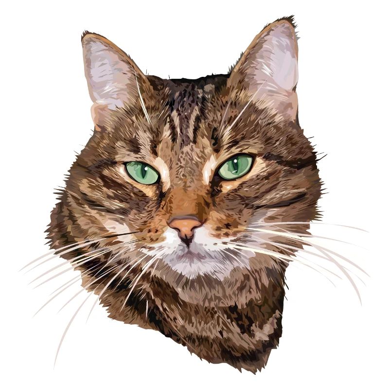 Katze