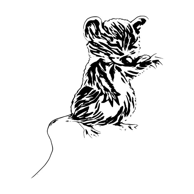 Maus