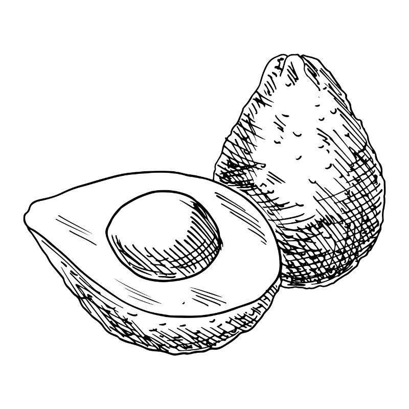 Avocado Motiv