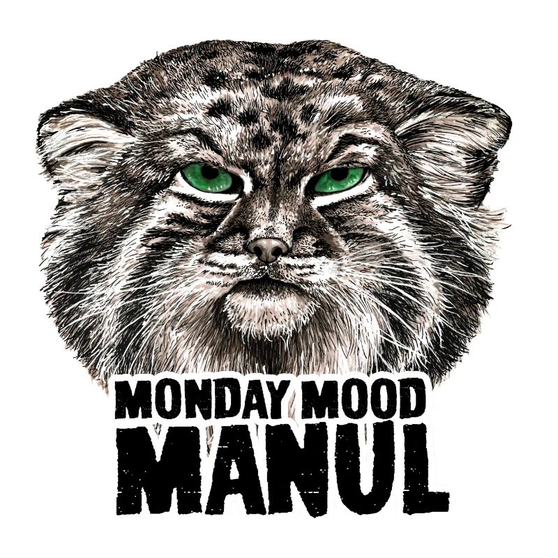 Manul schwarz