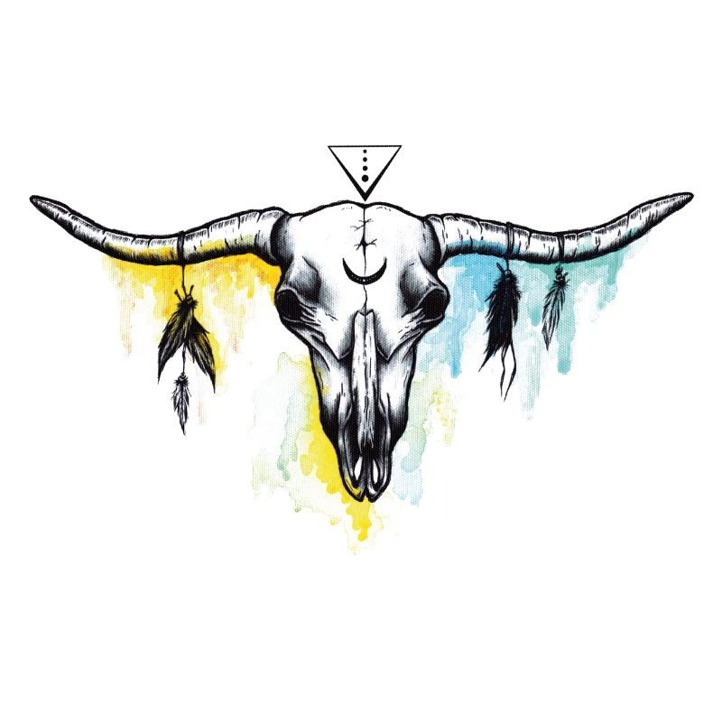 Buffalo skull