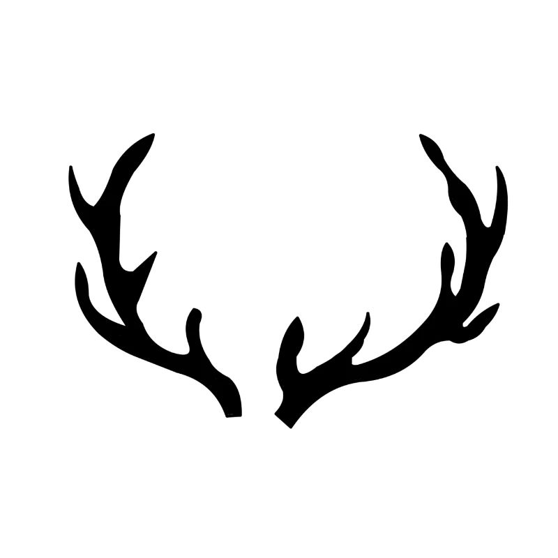Bois de chasse au cerf forêt
