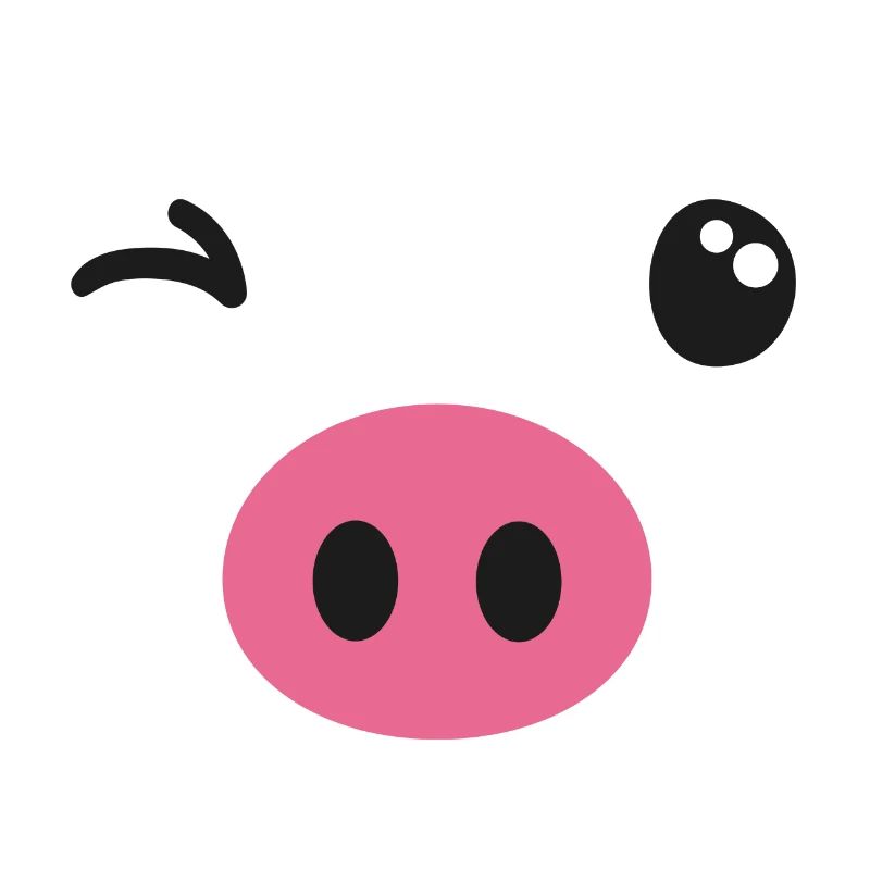 Schwein Kostüm