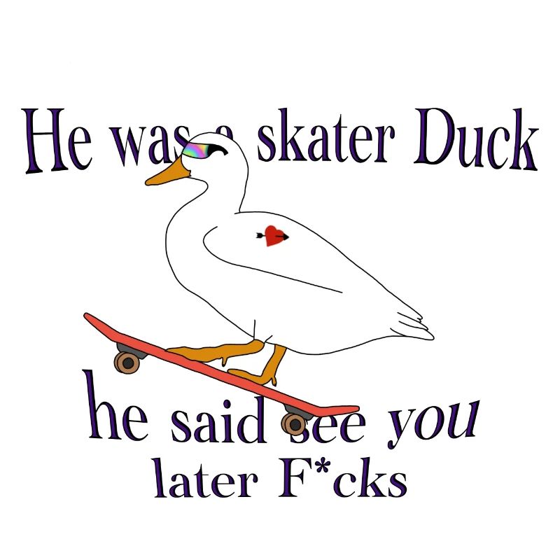 Sk8ter Duck!