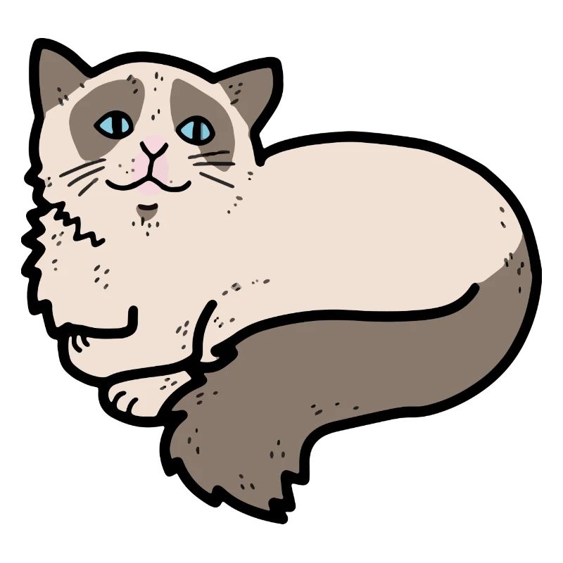 Ragdoll Katze