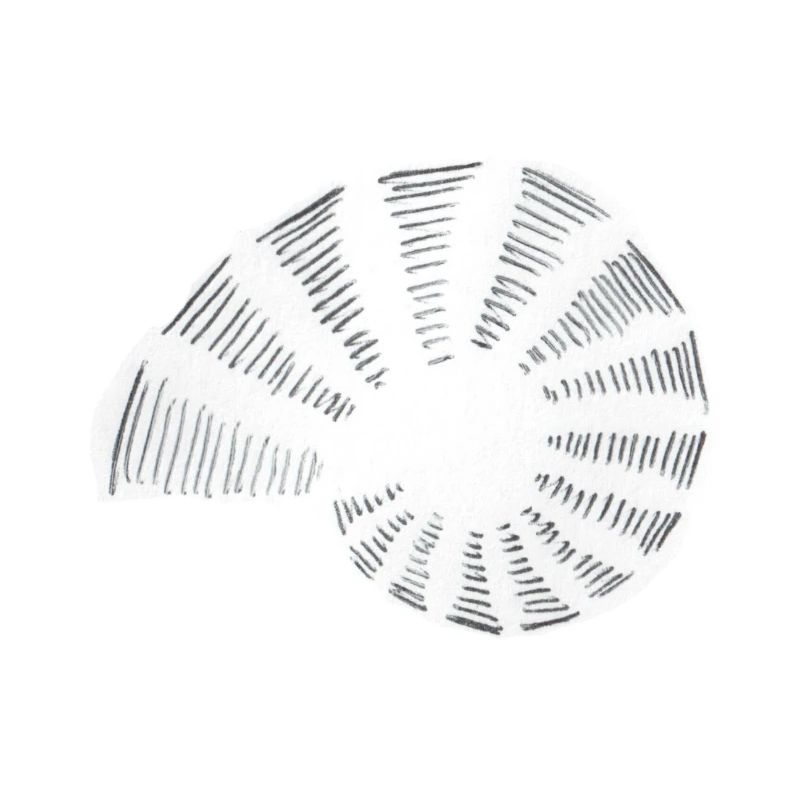Spirale