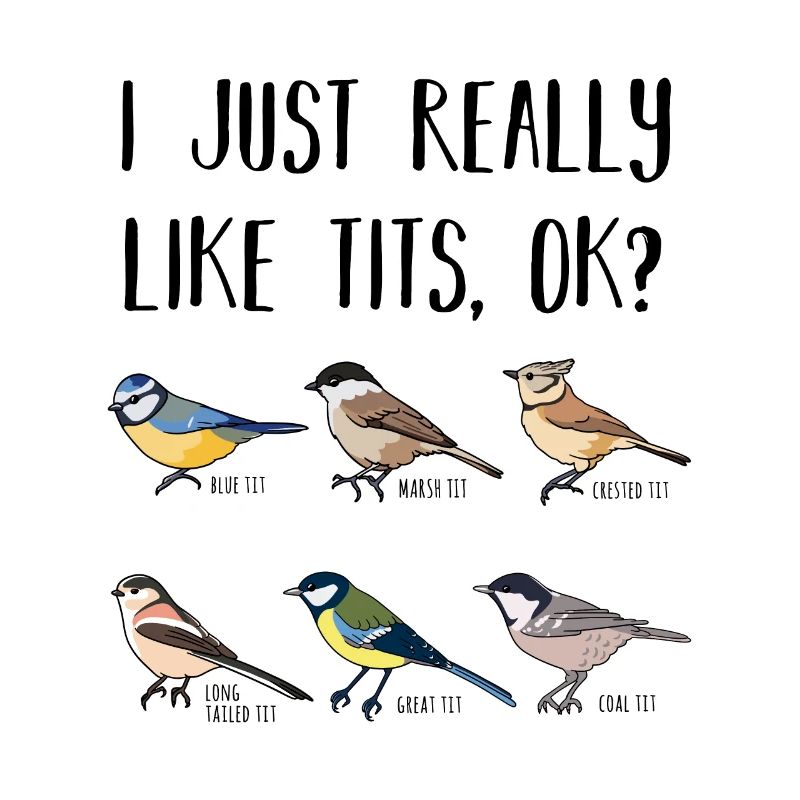 I just really like Tits Bird Lover Gift