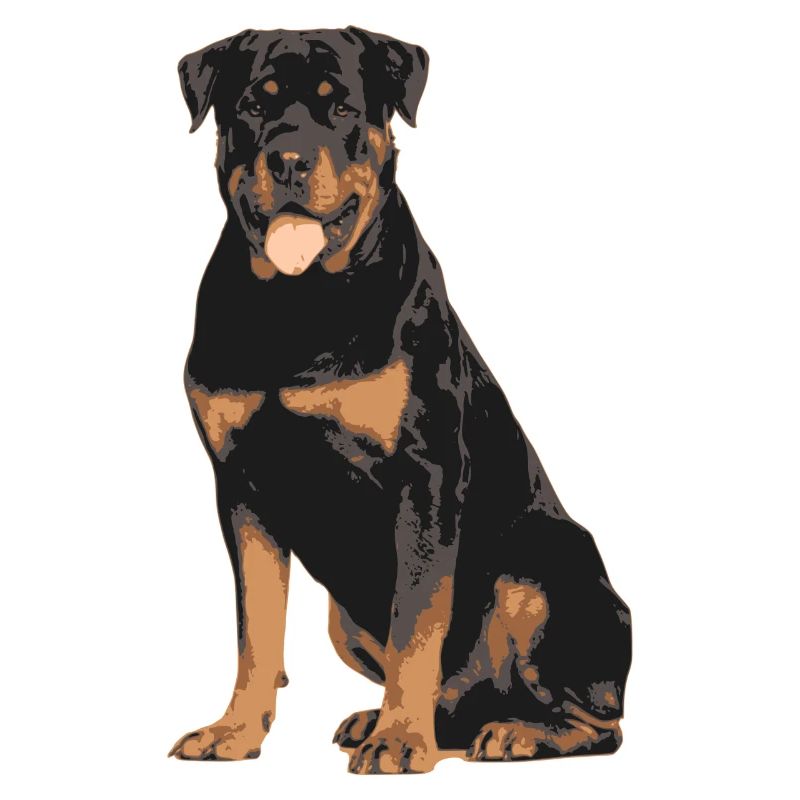 Rottweiler