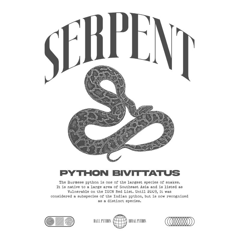 Burmese Python Modern Reptile Keeper Streetwear