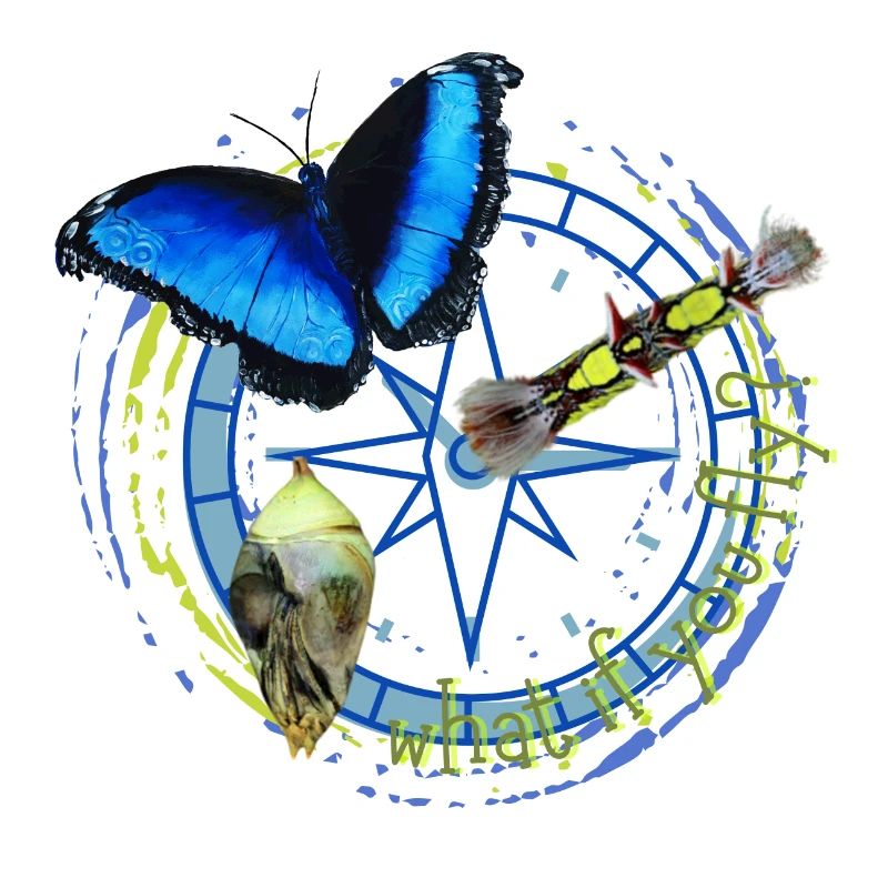 Et si vous prenez l’avion ? Papillon en évolution