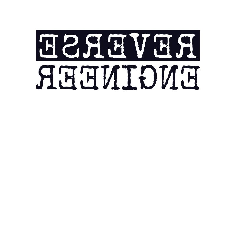 Reverse Engineer Softwareingenieur Developer