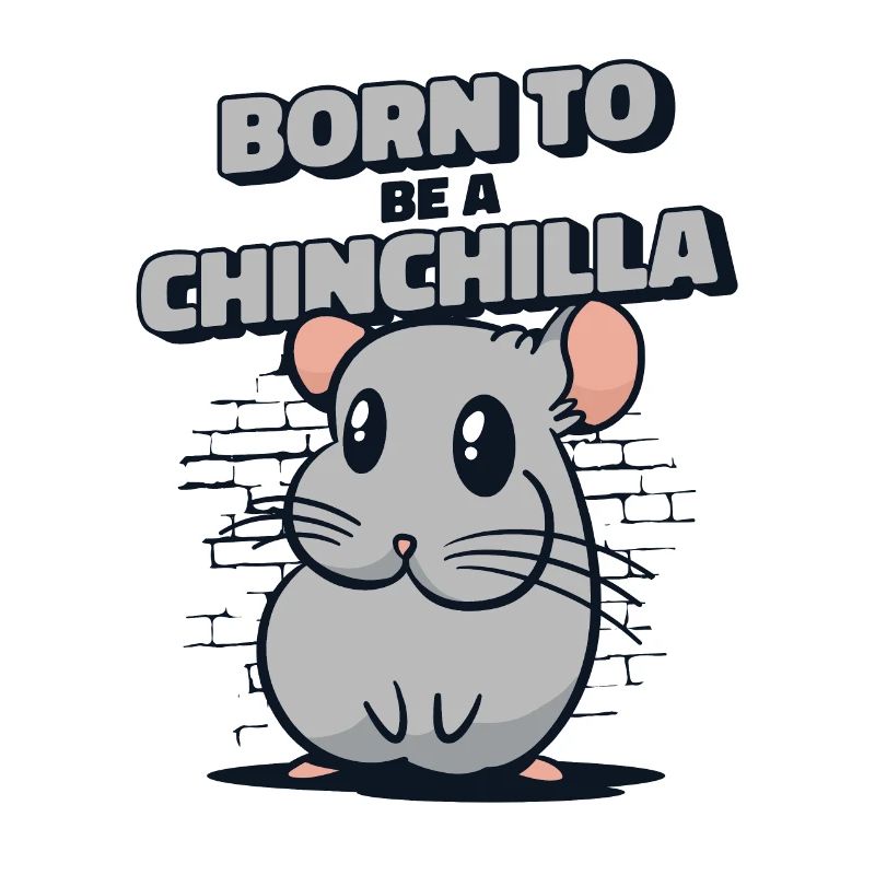 Né pour être un chinchilla à queue courte longue queue