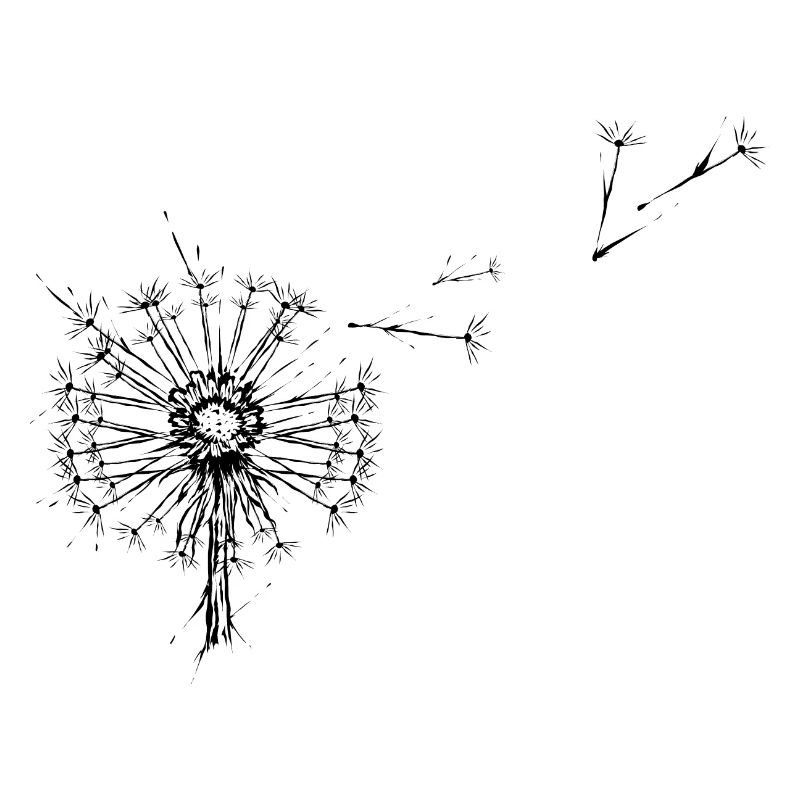Pusteblume