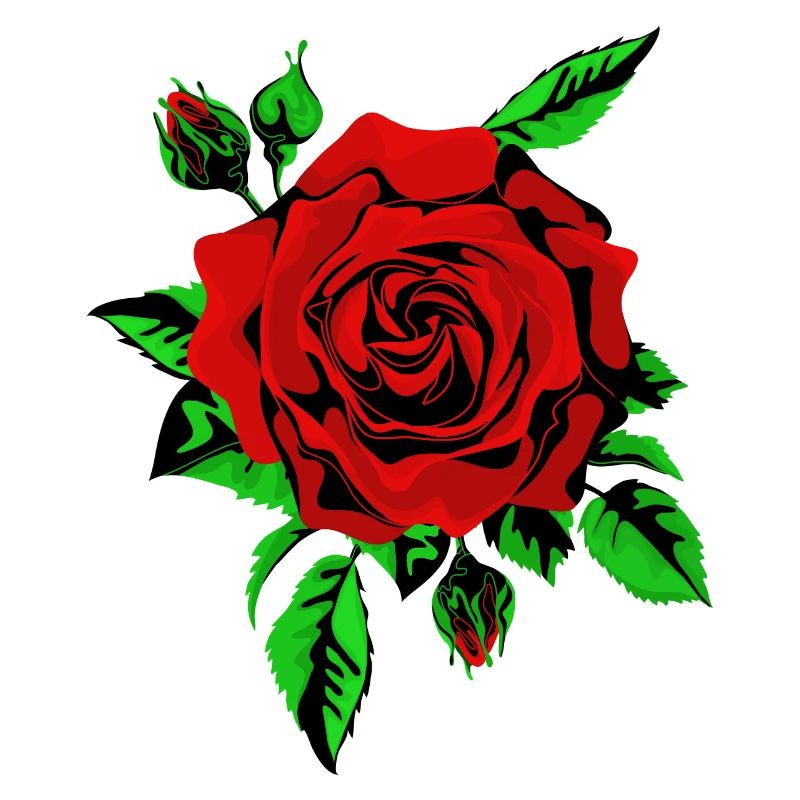 Rote Rose
