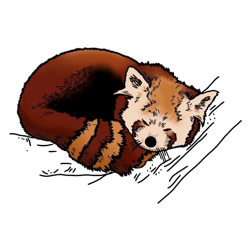 Kleiner Panda