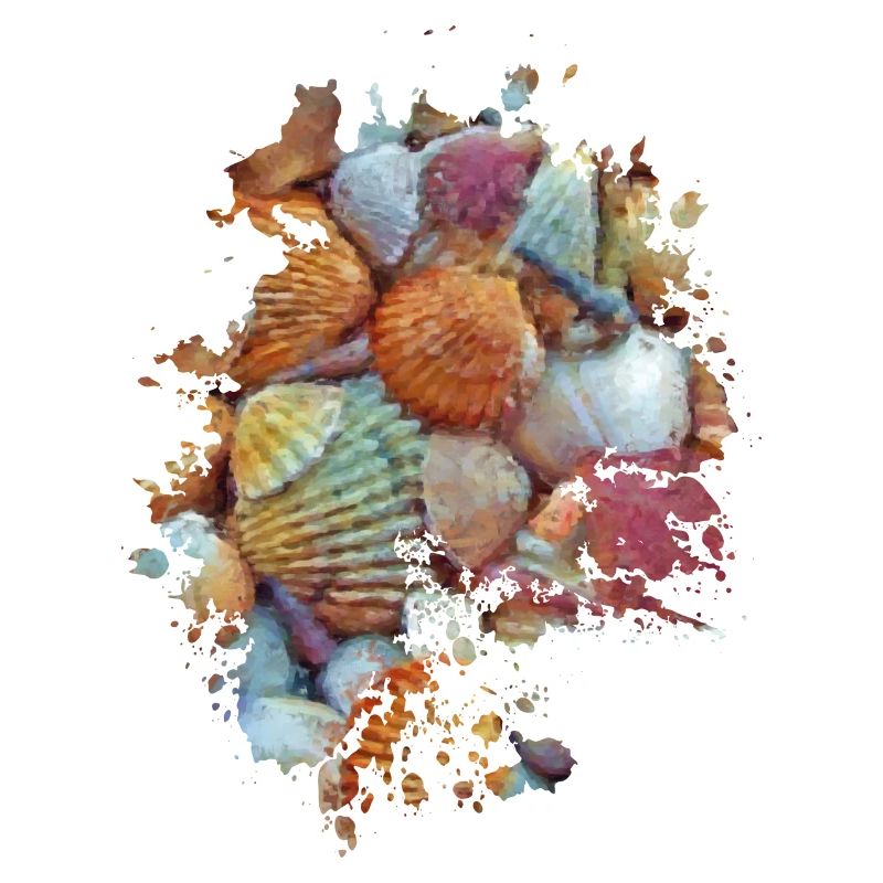 Muscheln