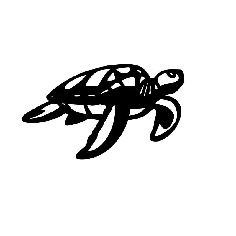 Schildkröte Schwarz