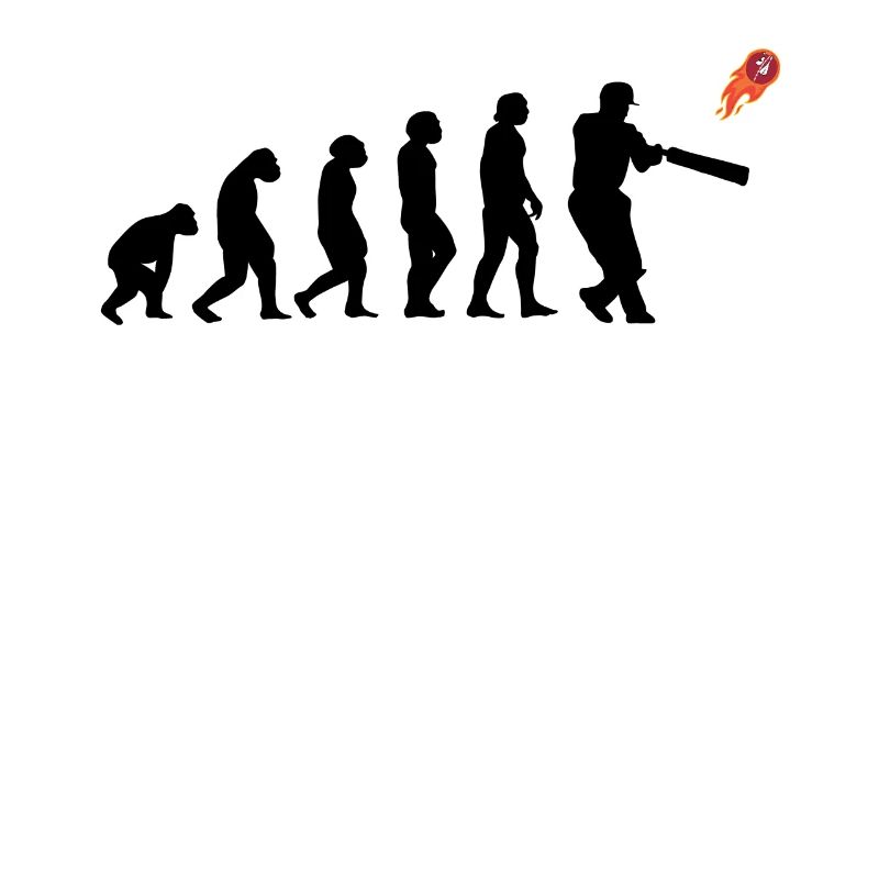 Kricketspieler Cricket-game Evolution