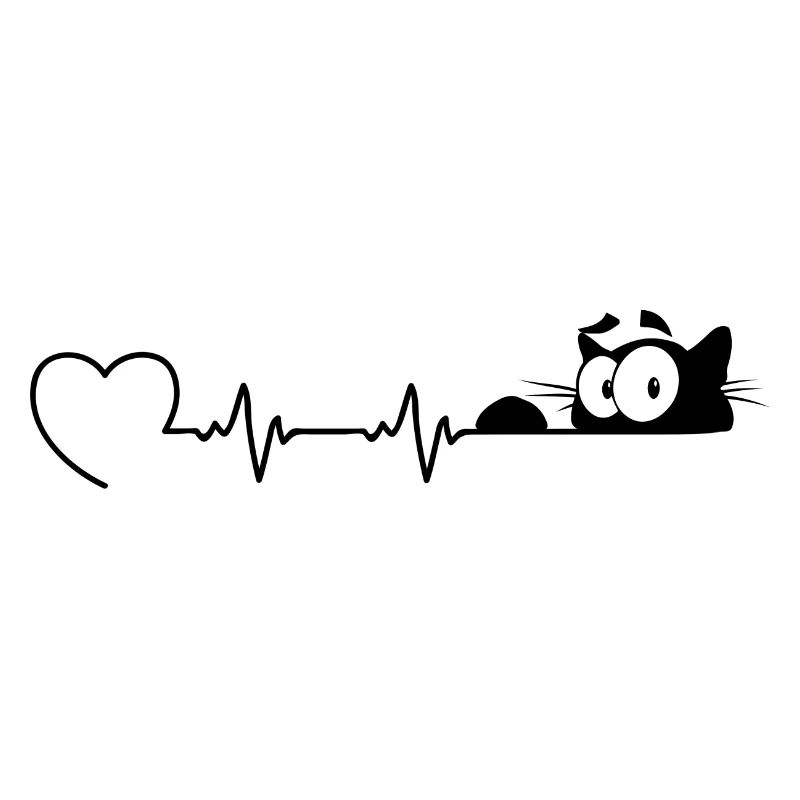Chat chat ECG Maïou chat chat chat