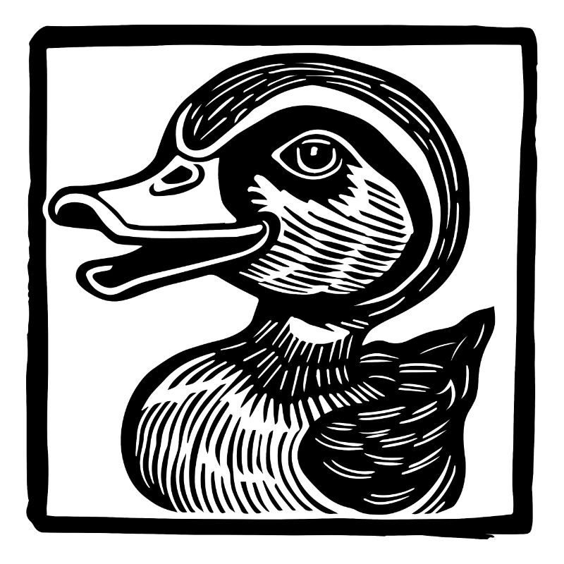 Canards