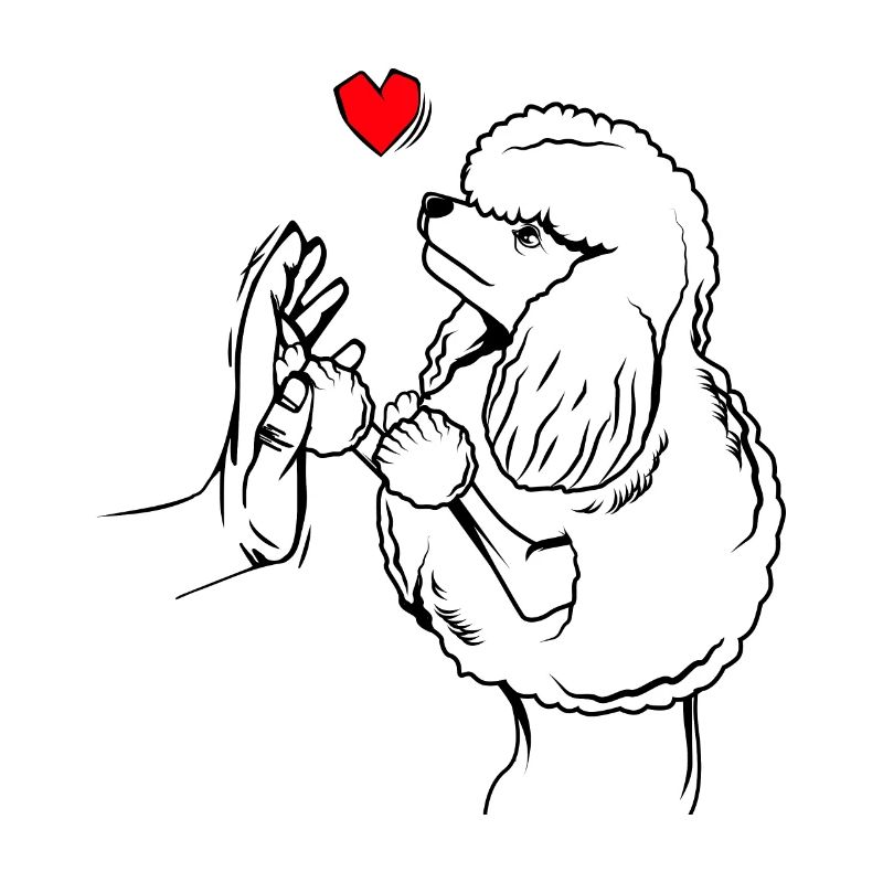 caniche
