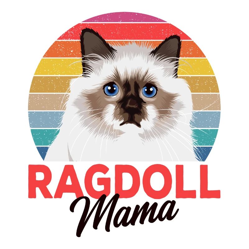 Ragdoll Katze