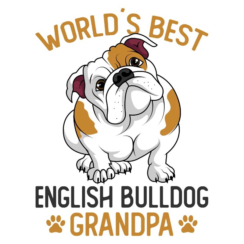 Englische Bulldogge