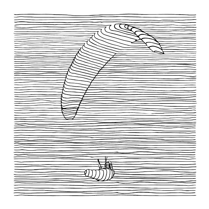 Paraglider