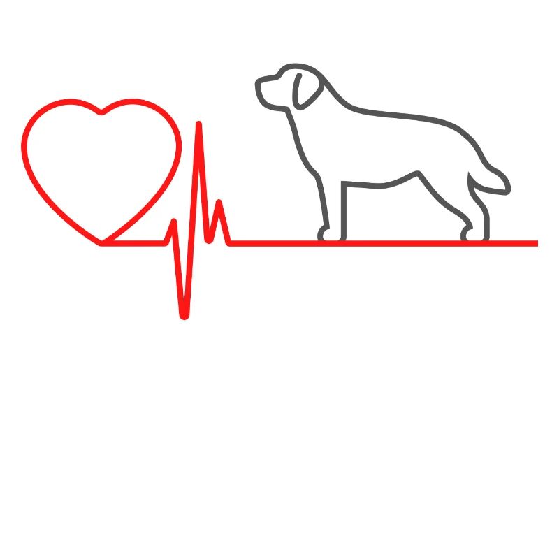 Labrador
