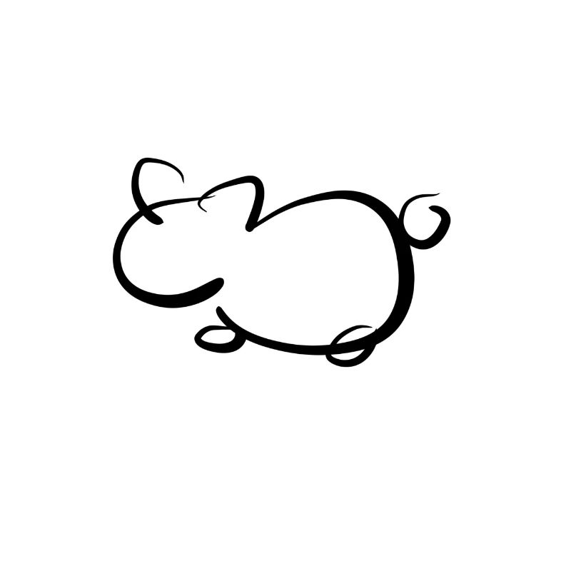 mouse rat