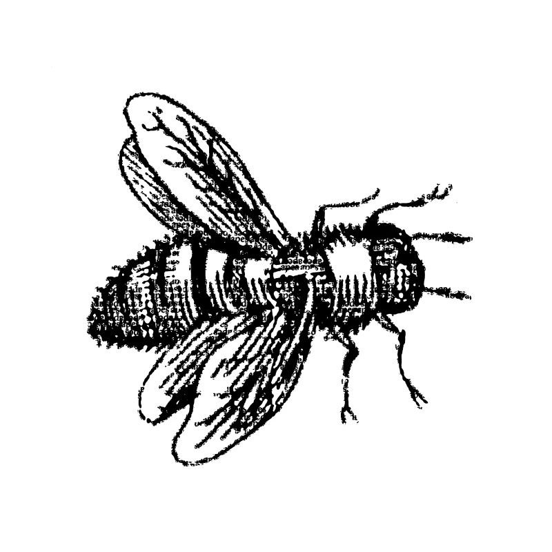 Waldbiene